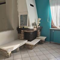 Edilkamin camino a legna