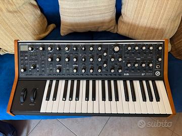 Moog Subsequent37