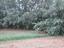 Immagine 19