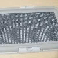 Toilette educativa per cani