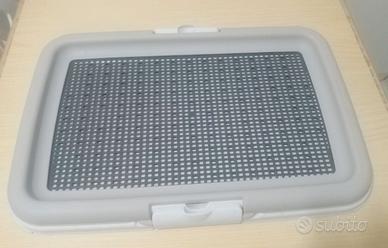 Toilette educativa per cani