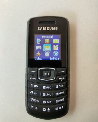 Samsung GT e1080i perfetto