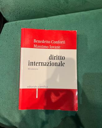 Diritto Internazionale