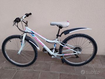 Atala Butterfly 24"