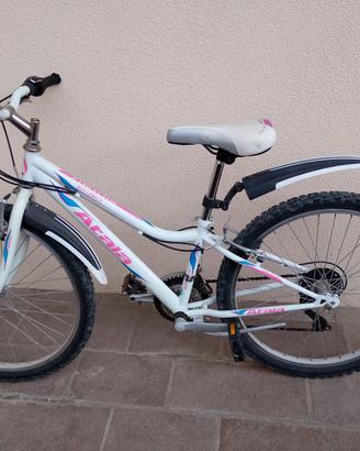 Atala Butterfly 24"
