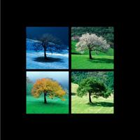 Lavoro DURATURO perugia deruta todi limitrofi