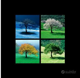 Lavoro DURATURO perugia deruta todi limitrofi