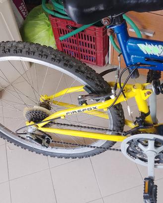 Bici da vendere 