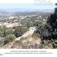 Terreno Agricolo Olzai [A4320564]