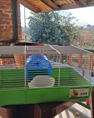 Gabbia per criceto completa di accessori