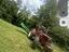 Immagine 1