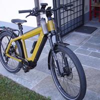 Bici elettrica