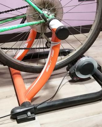 Rulli per allenamento