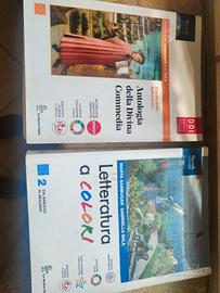 libro italiano superiori  Letteratura a colori Riz