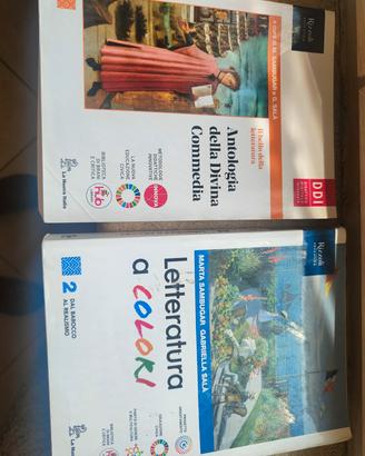 libro italiano superiori  Letteratura a colori Riz