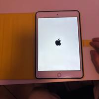 Ipad mini 4 128