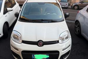 Fiat Panda 1200 benzina 06