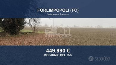 Immobile in asta di 208038 m² a Forlimpopoli