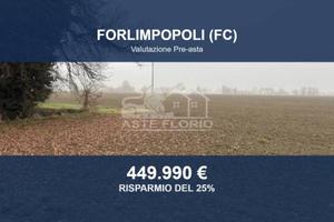 Immobile in asta di 208038 m² a Forlimpopoli