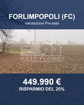 Immobile in asta di 208038 m² a Forlimpopoli