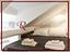 Immagine 7