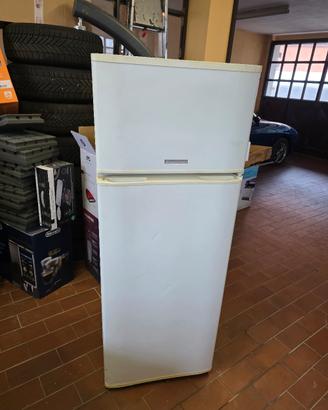 Frigo Elettrozeta per uso esterno