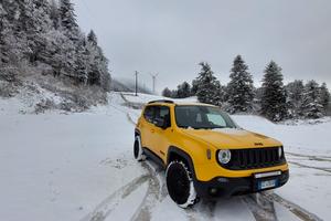 Renegade 2.0 mjt Trailhawk 4wd 170cv automatica 