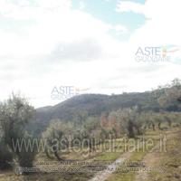 Terreno Agricolo Omignano [A342589]