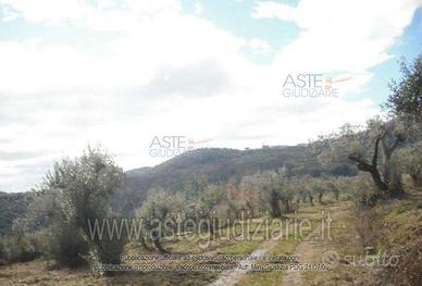 Terreno Agricolo Omignano [A342589]