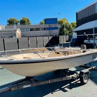 Barca Open Busco Motore Mercury 25 cv