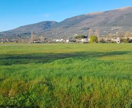 Vendesi terreno agricolo con pozzo