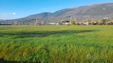 Vendesi terreno agricolo con pozzo