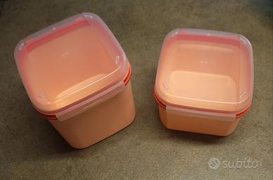 Coppia contenitori ermetici Tupperware