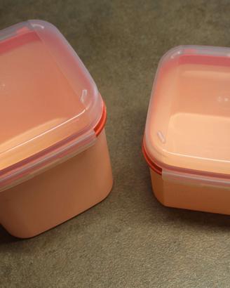 Coppia contenitori ermetici Tupperware