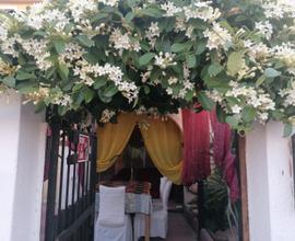 Splendida villetta
