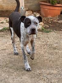 Charlyto un'anima pura e sensibile