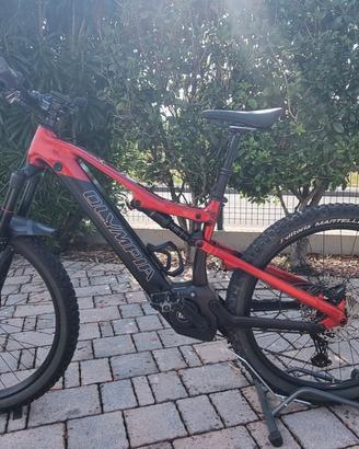 E-BIKE