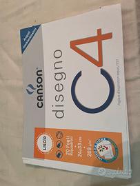 album canson C4 liscio riquadrato 24x33cm 16 fogli