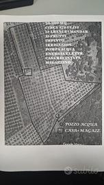 Terreno con uliveto e rudere