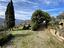 Immagine 21