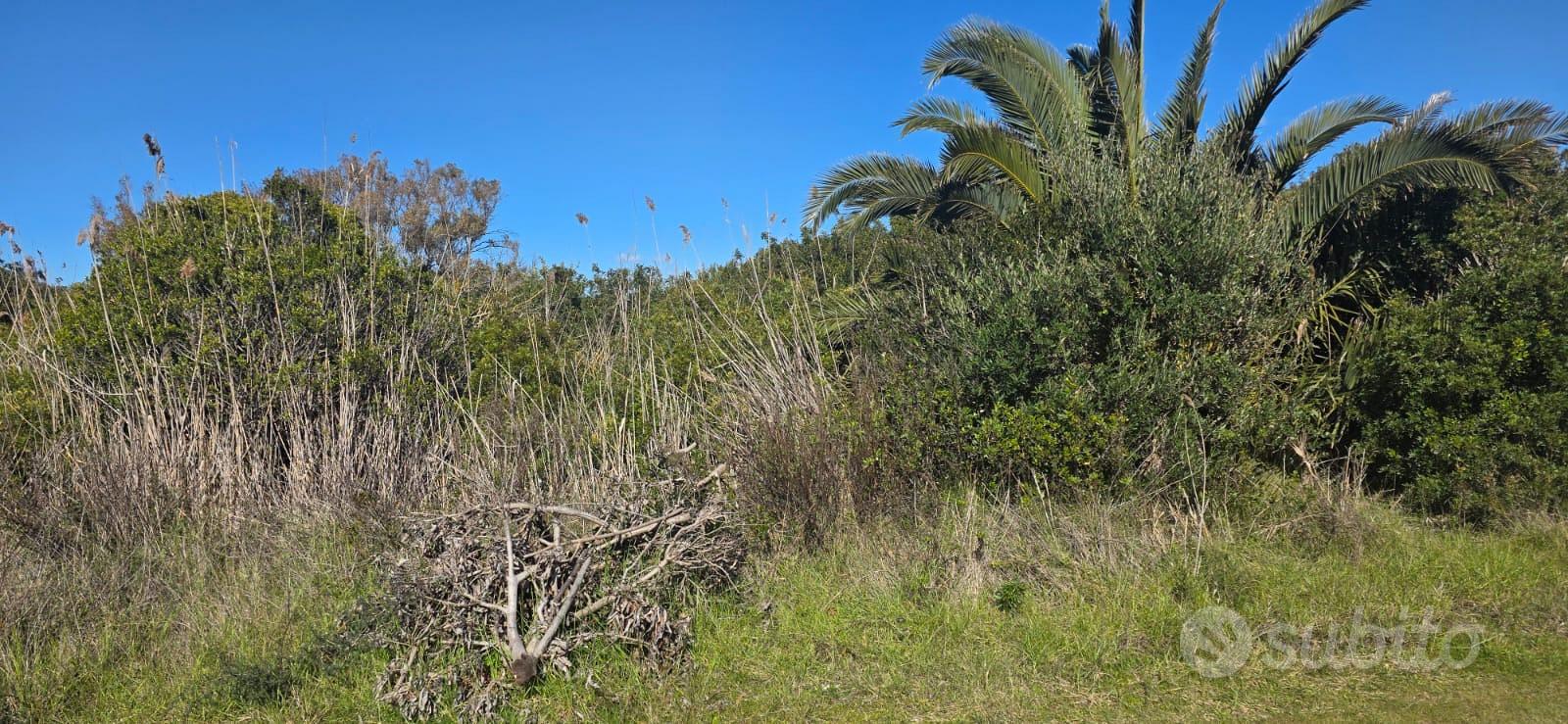 Terreno mq 560 Punta Prosciutto - Vista 3