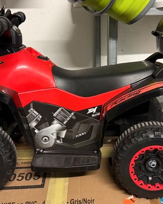 QUAD ELETTRICO