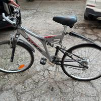 Mountain Bike Grigia 26”