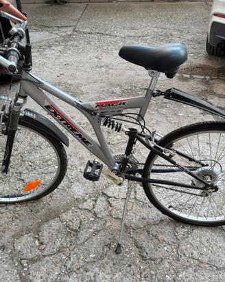 Mountain Bike Grigia 26”