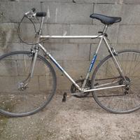 bici classica tipo corsa Regina Veneta