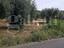 Immagine 12