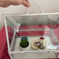 Terriera da giardino o interni