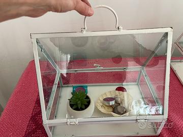 Terriera da giardino o interni