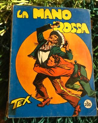 RACCOLTA TEX WILLER