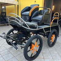 Carrozza Top Marathon (88)